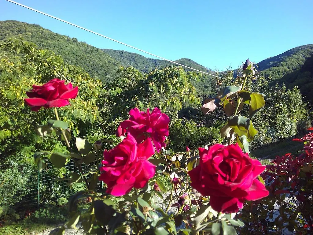 Farm stay Agriturismo Ca Sonino Bettola  Italy