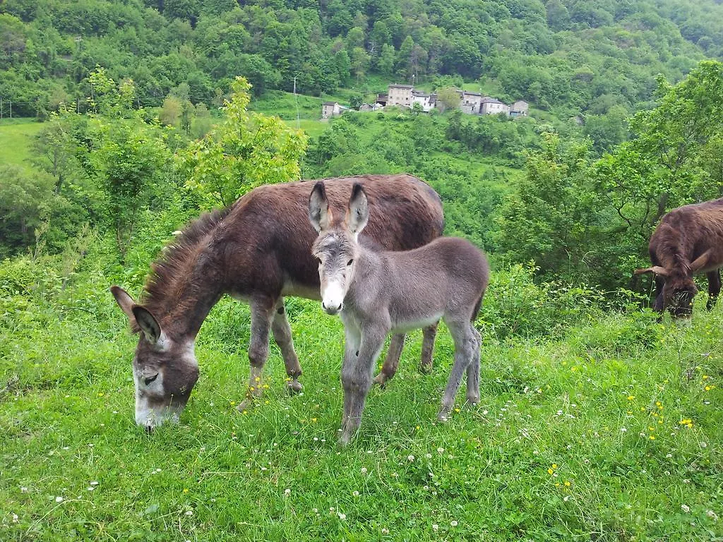 Agriturismo Ca Sonino Bettola  Bettola (Emilia-Romagna)