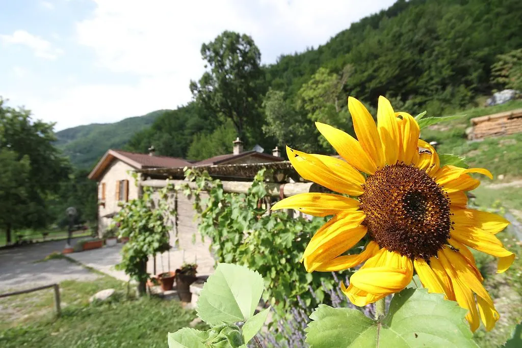 Farm stay Agriturismo Ca Sonino Bettola